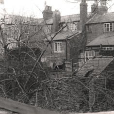 Backs of houses on Brunswick St, May 1979 | Photo: Tony Allwright