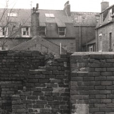 Backs of Havelock Square houses, May 1979 | Photo: Tony Allwright