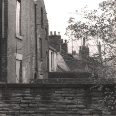 Backs of Havelock Square houses, May 1979 | Photo: Tony Allwright