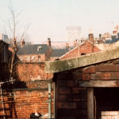 Outside toilet in Broomhall back yard, February 1980 | Photo: Tony Allwright